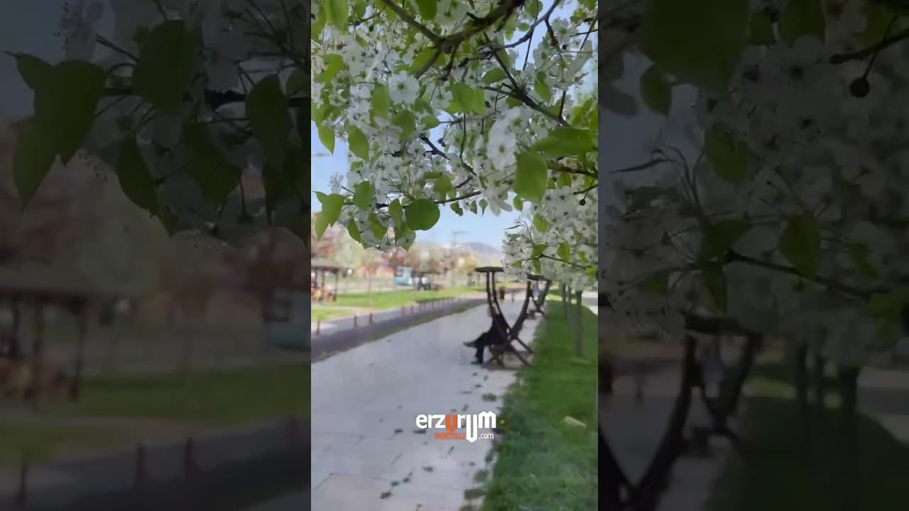 Palandöken’de kar❄️Erzurum’da bahar 🌸