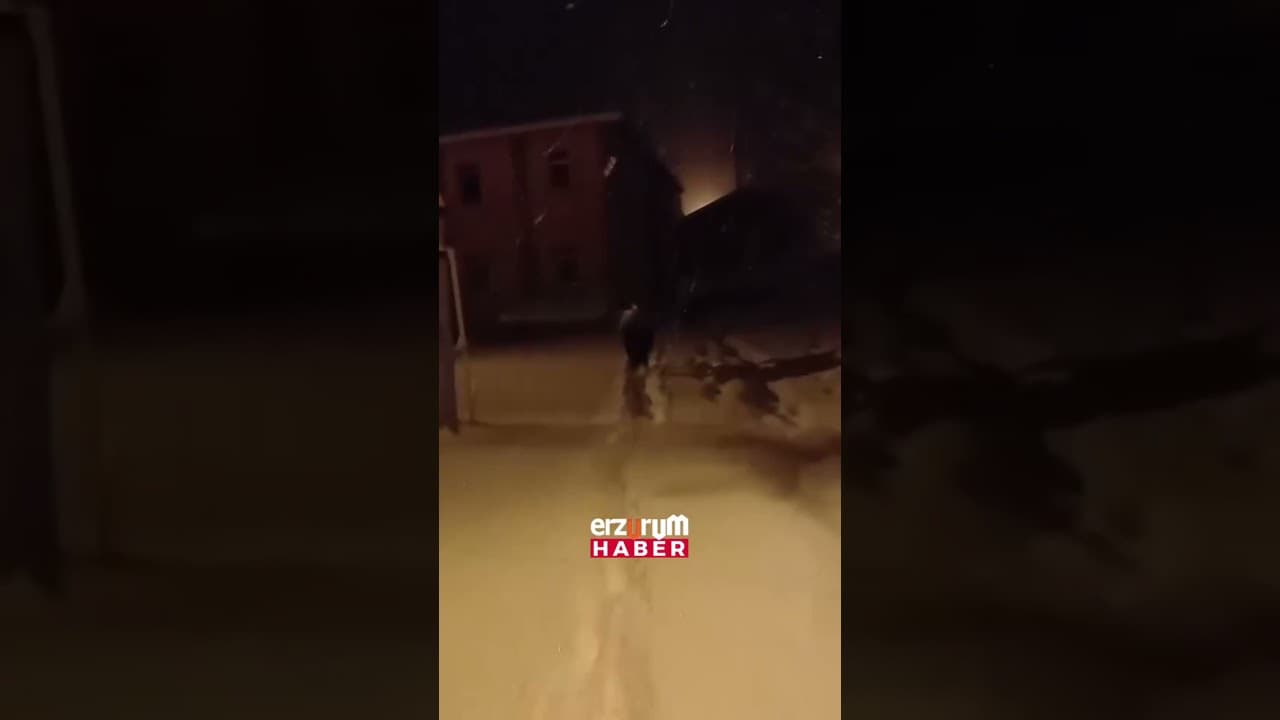💢Yazın çalıştırılan Eşekler kışın sokağa atıldılar❗️