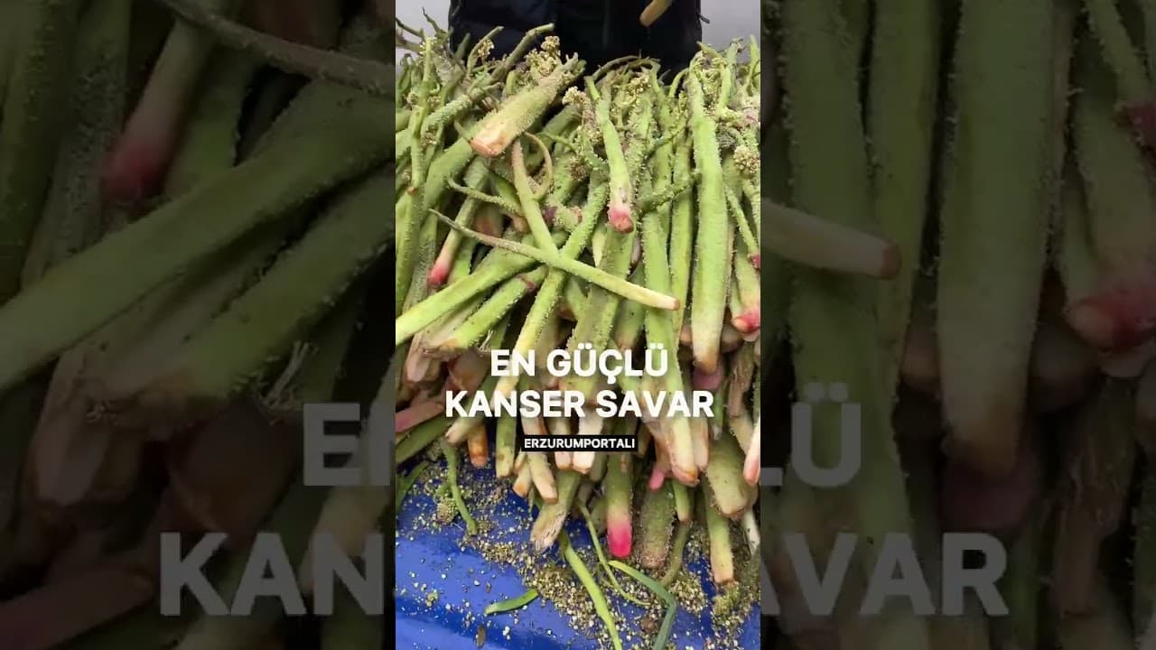 En güçlü kansersavar pazarda yerini aldı #erzurum #erzurumhaber