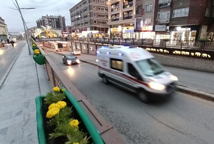 Erzurum Fil Geçti Köprüsü