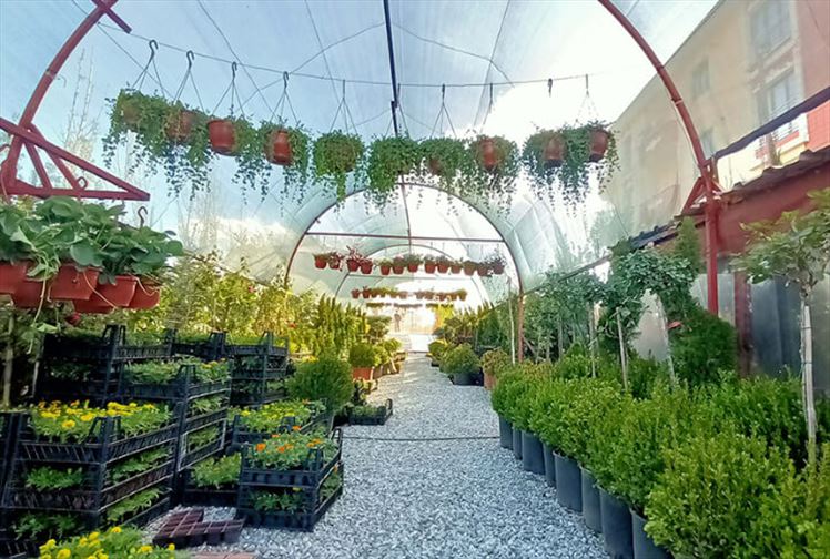 Erzurum'da Fidan Nereden Alınır
