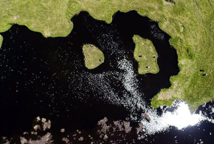 Tortum Zökün Gölü Yüzen Ada