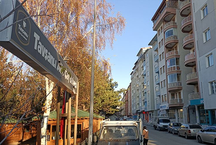 Erzurum Tavşanlı Park Çay Bahçesi ve Şelale Evler Sokak