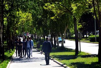 Erzurum Üniversite Öğrenci Sayısı İle Kaçıncı Sırada?