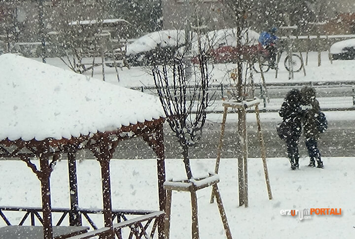 Erzurumu Unuttu Denilen Kar, Lapa Lapa Yağdı