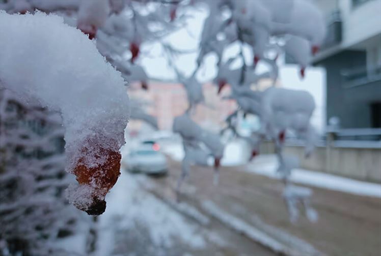Mevsimin İlk Kar'ı Yağışına ‘Merhaba’ Diyen Erzurum’dan Kareler!
