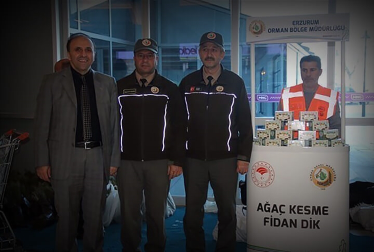 Ağaç Kesme Fidan Dik