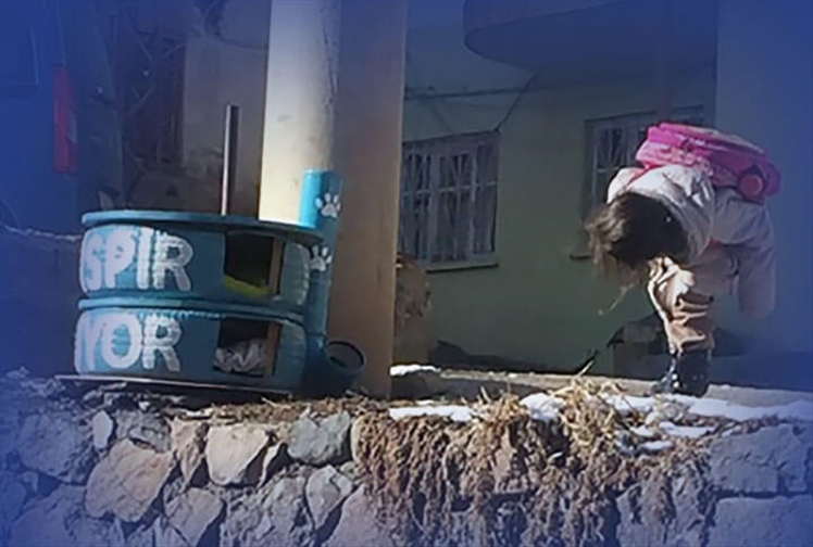Erzurum Farkı, 'Hayvanlar Aç Kamasın' Dediler ve Bakın Ne Yaptılar?