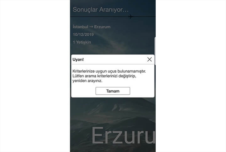 Erzurum'da Geçici Süre İstanbul Ankara Uçak Seferleri İptal!
