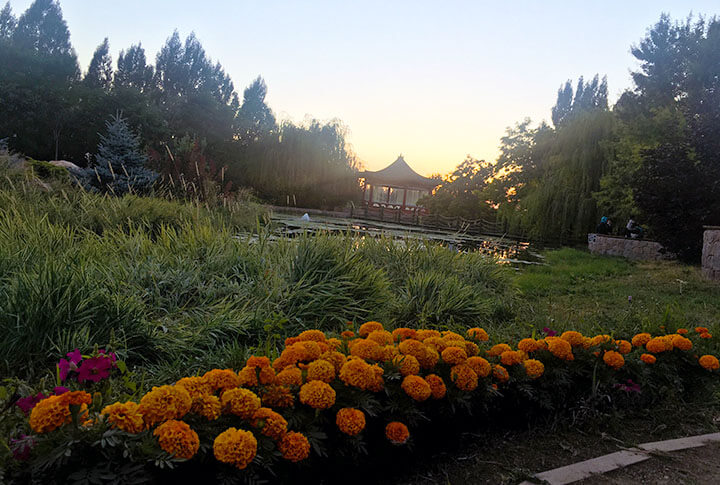 Erzurum Ata Botanik Bahçesi