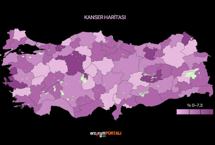 Erzurum Kanser Haritası