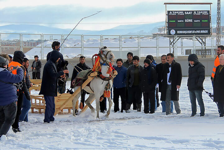 Erzurum Geleneksel Atlı Kızak Yarışları