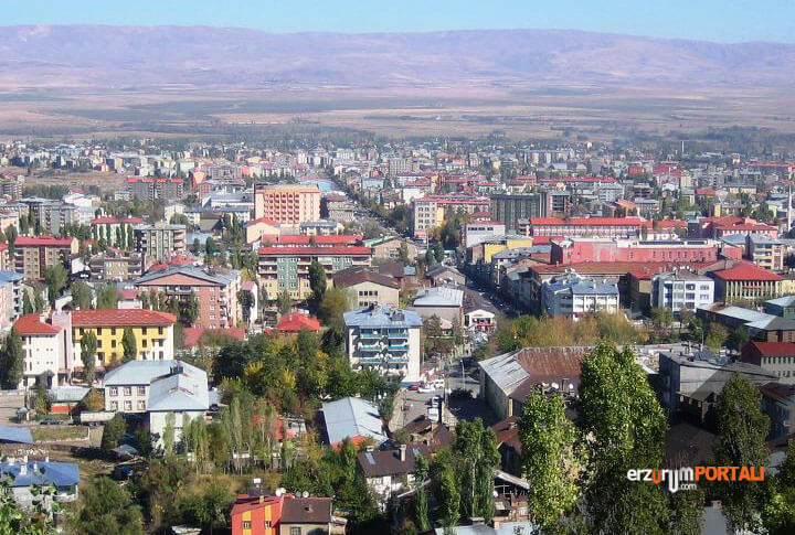 Erzurum'un komşu illeri