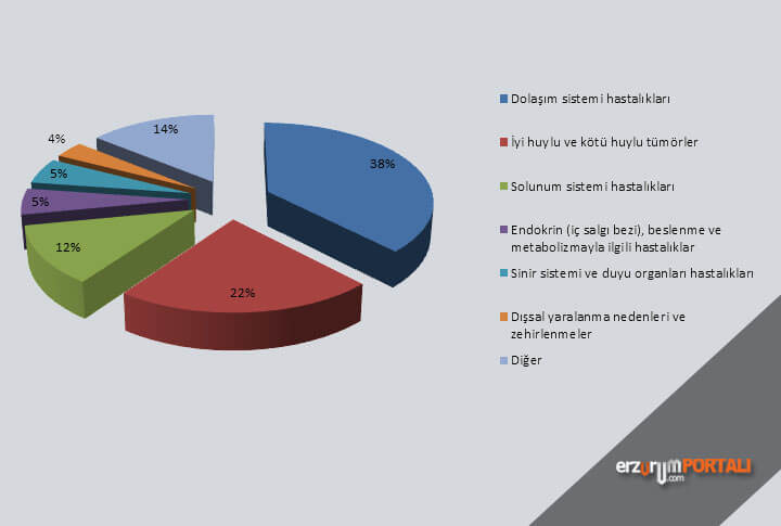 Erzurum Ölüm Nedeni İstatistikleri
